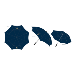 Auto-Open Umbrella