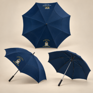 Auto-Open Umbrella